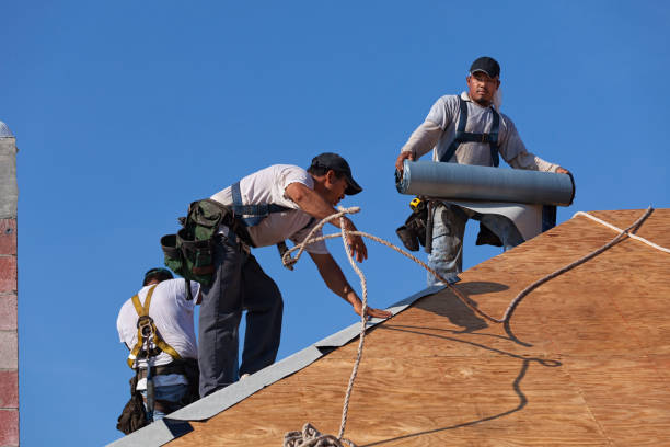 Sealant for Roof in Villa Ridge, MO