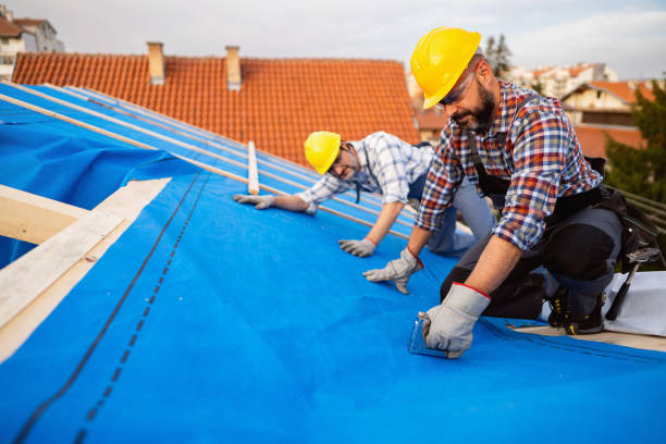 Best Roof Gutter Cleaning  in Villa Ridge, MO